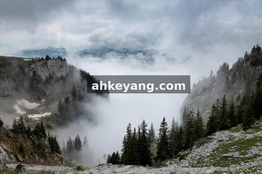 开云制造业生产与供应链数据应用方案示意